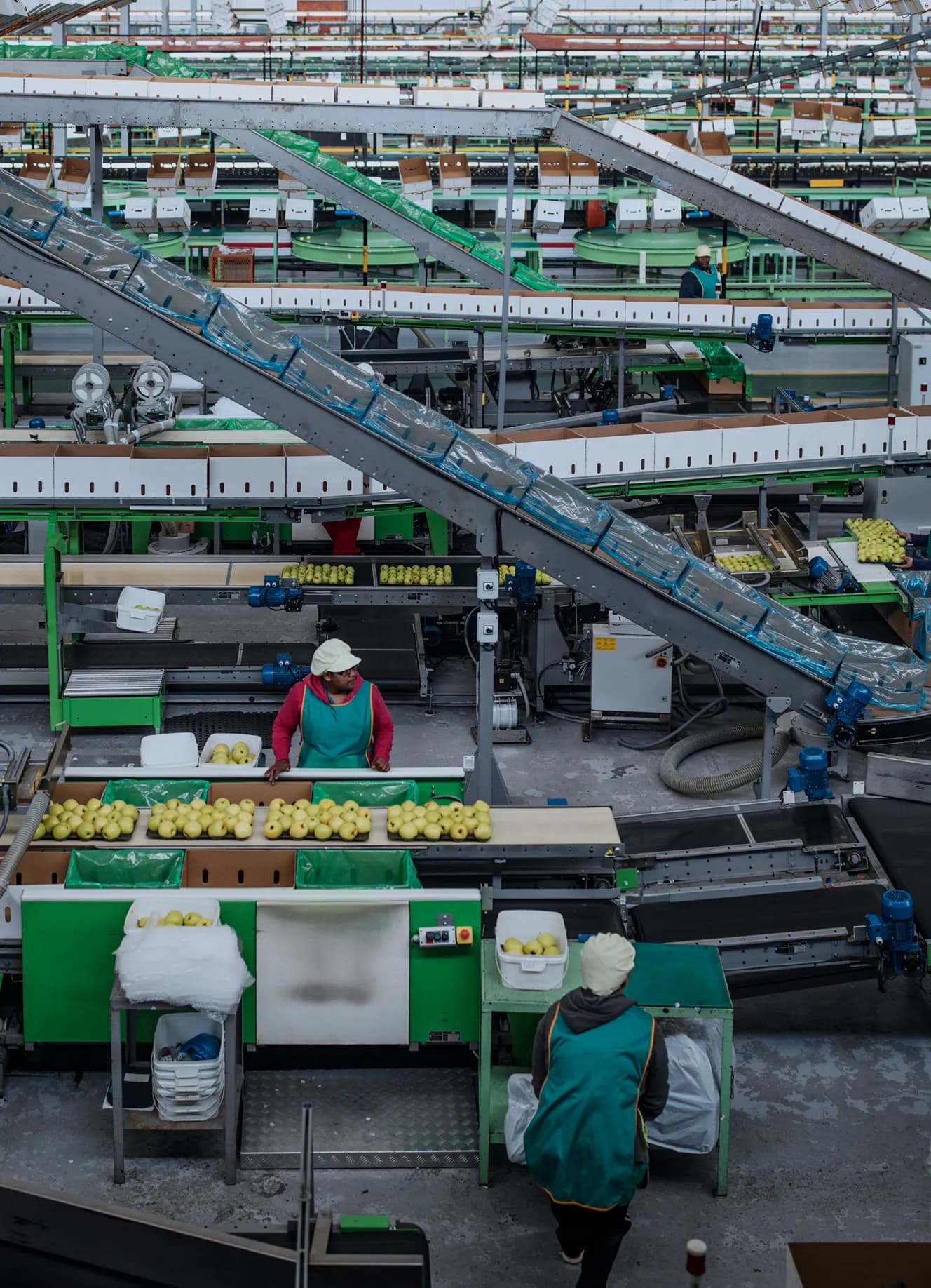 FMCG Giant, Abaad Investments Group Optimizes Operations with NetSuite ERP